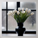 Recherche de tulipes noires posters Fleurs