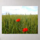 Zoek naar tarwe posters Groen