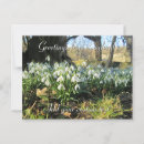 Recherche de neige blanche cartes postales Fleur