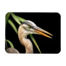 Recherche de écologie magnets Animal