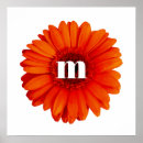 Recherche de fleurs oranges posters Pour tous