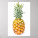 Recherche de comestible posters Fruits