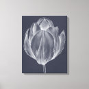 Recherche de toile de tulipe Fleur