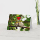 Zoek naar liefde vogels kaarten Dag
