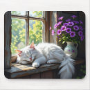 Recherche de chat blanc tapis souris Amoureux des chats