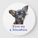 Recherche de chihuahua horloges Chien