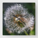 Zoek naar dandelion kunst Modern