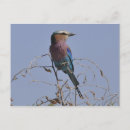 Recherche de okavango posters Travel