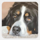 Recherche de yeux de chien autocollants Animal