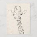 Recherche de portrait girafe cartes postales Safari