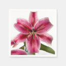 Zoek naar stargazer lily decoratie Close up