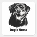 Recherche de rotweiller autocollants Toute personne