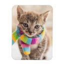Recherche de écharpe magnets Chat