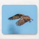 Recherche de rapace tapis souris Balbuzard