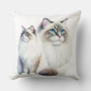Recherche de ragdoll coussins Poupée