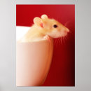 Recherche de foyer sur le premier plan posters Tête animale