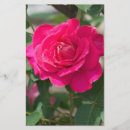Recherche de fleur rose prospectus Rouge