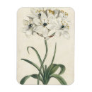 Recherche de ivoire magnets Floral