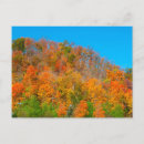 Recherche de colons cartes postales Usa