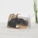 Recherche de renard argenté vœux cartes Faune