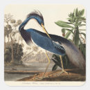 Recherche de audubon autocollants John james audubon