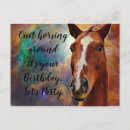 Recherche de salutation de cheval Animaux de ferme