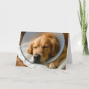 Recherche de guérison rapide vœux cartes Chien