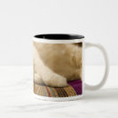 Recherche de divan tasses Sofa