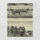 Recherche de ellis cartes postales Vue