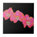 Recherche de orchidée rose carreaux Orchidées roses