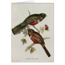Recherche de trogon Ornithologie