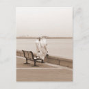 Recherche de talk cartes postales Parler