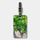 Recherche de raisins bagages étiquettes Vert