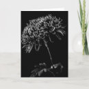 Zoek naar chrysanthemum kaarten Bloem
