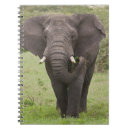Recherche de tronc carnets Vert