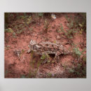 Zoek naar broodjes posters Dier