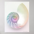 Recherche de créatures de vie marine posters Carré