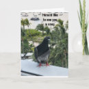 Recherche de observation des oiseaux vœux cartes Drôle