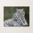 Recherche de tigre bengale puzzles Gros