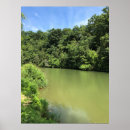 Recherche de roseau posters Arbres