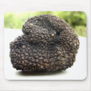 Recherche de truffe tapis souris Champignon