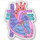 Zoek naar anatomische stickers Hartverpleegkundige