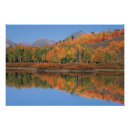 Recherche de dee posters Wyoming