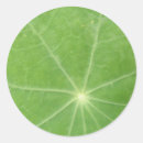 Recherche de veine autocollants Nature