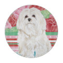 Recherche de chien ustensiles cuisine Animal familier