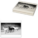 Recherche de timbre de cheval Pour tous