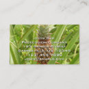 Recherche de fruits exotiques cartes visite Pour tous