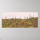 Zoek naar western landschap posters Cacti