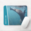 Recherche de phoque tapis souris Mer