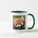 Recherche de panda chinois tasses Pandas